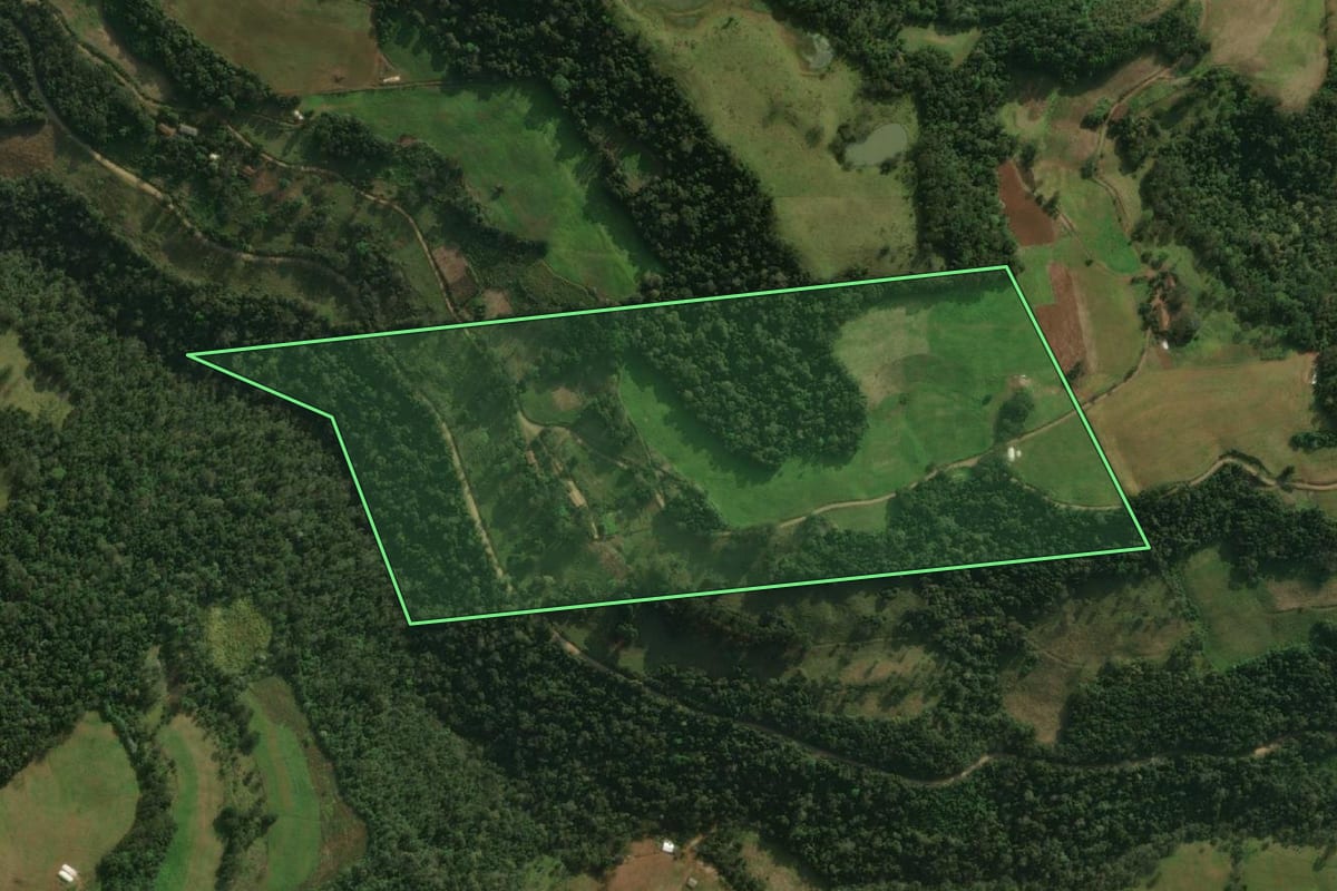 Imagem de satélite do imóvel rural em Guaraciaba (SC), com o contorno declarado no CAR desenhado por cima.