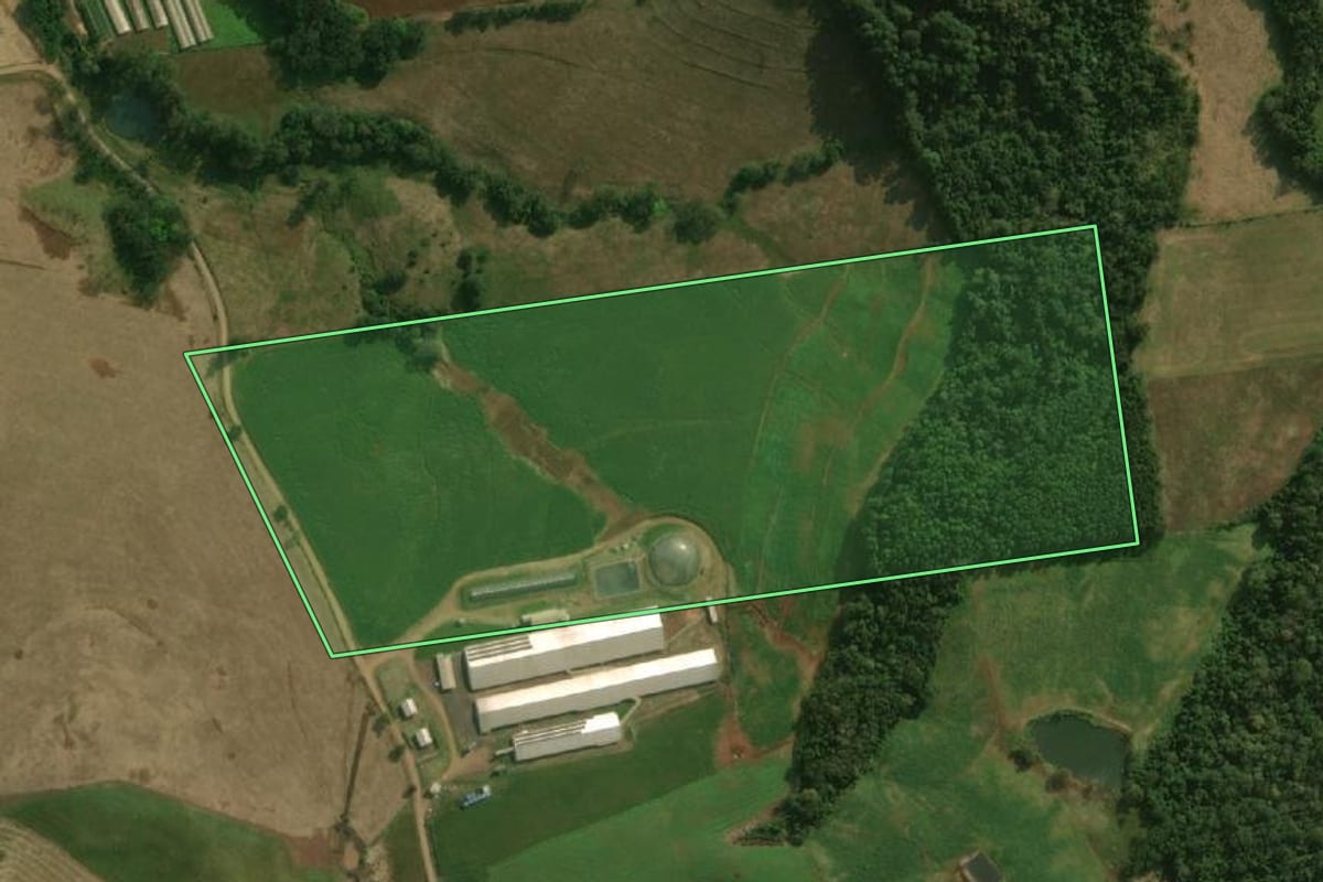 Imagem de satélite do imóvel rural em Guaraciaba (SC), com o contorno declarado no CAR desenhado por cima.