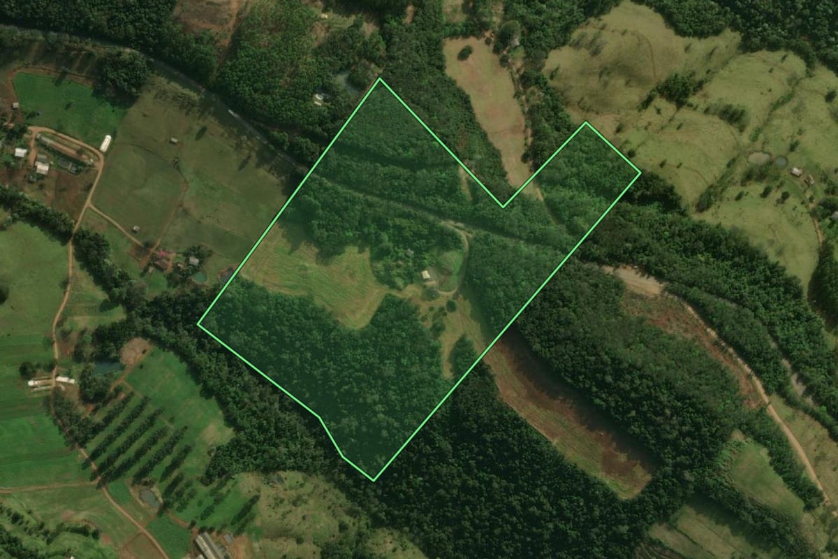 Imagem de satélite do imóvel rural em Guaraciaba (SC), com o contorno declarado no CAR desenhado por cima.