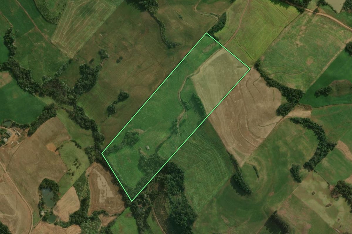 Imagem de satélite do imóvel rural em Guaraciaba (SC), com o contorno declarado no CAR desenhado por cima.