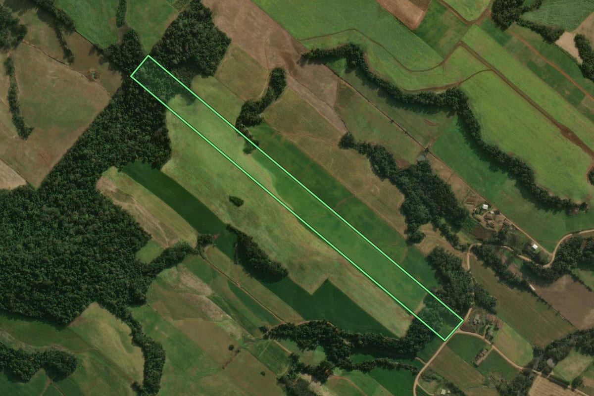 Imagem de satélite do imóvel rural em Guaraciaba (SC), com o contorno declarado no CAR desenhado por cima.