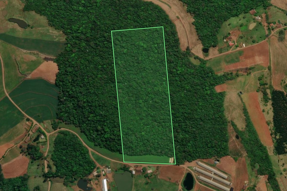 Imagem de satélite do imóvel rural em Guaraciaba (SC), com o contorno declarado no CAR desenhado por cima.