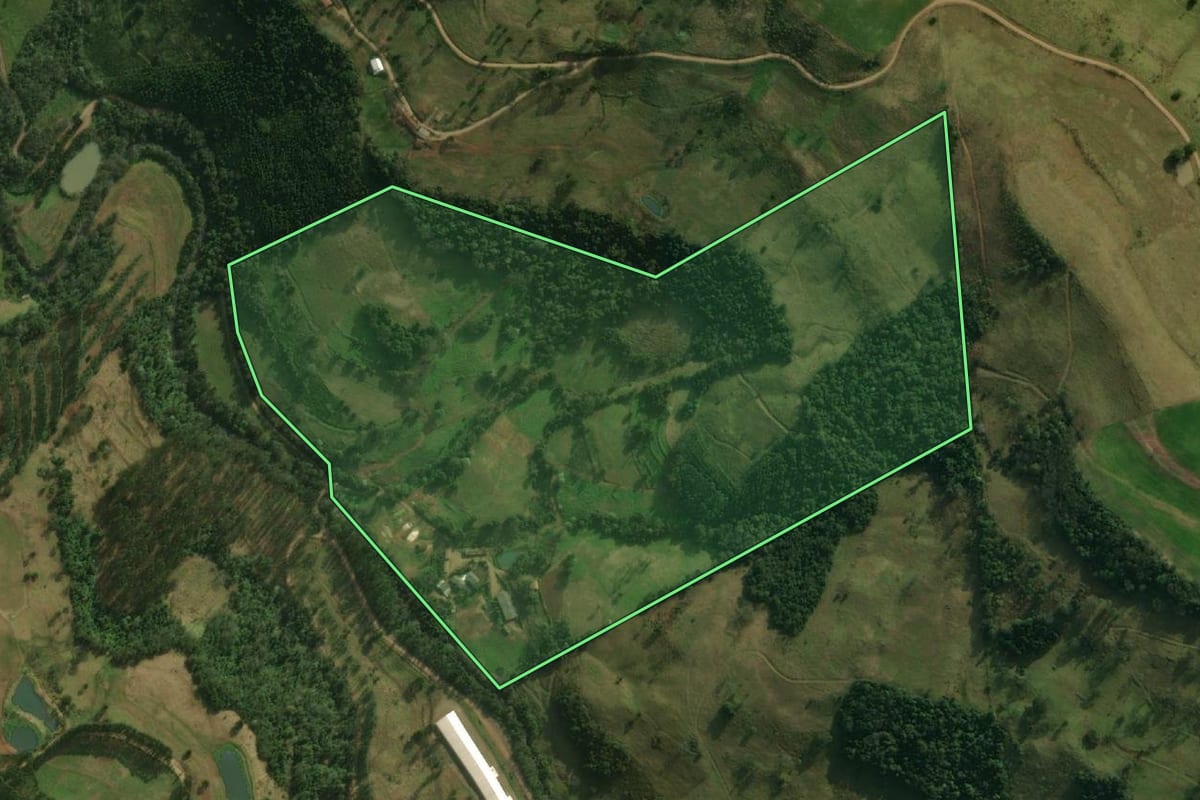 Imagem de satélite do imóvel rural em Guaraciaba (SC), com o contorno declarado no CAR desenhado por cima.