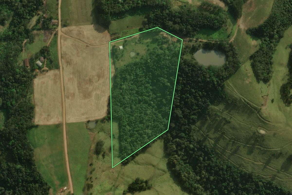 Imagem de satélite do imóvel rural em Guaraciaba (SC), com o contorno declarado no CAR desenhado por cima.