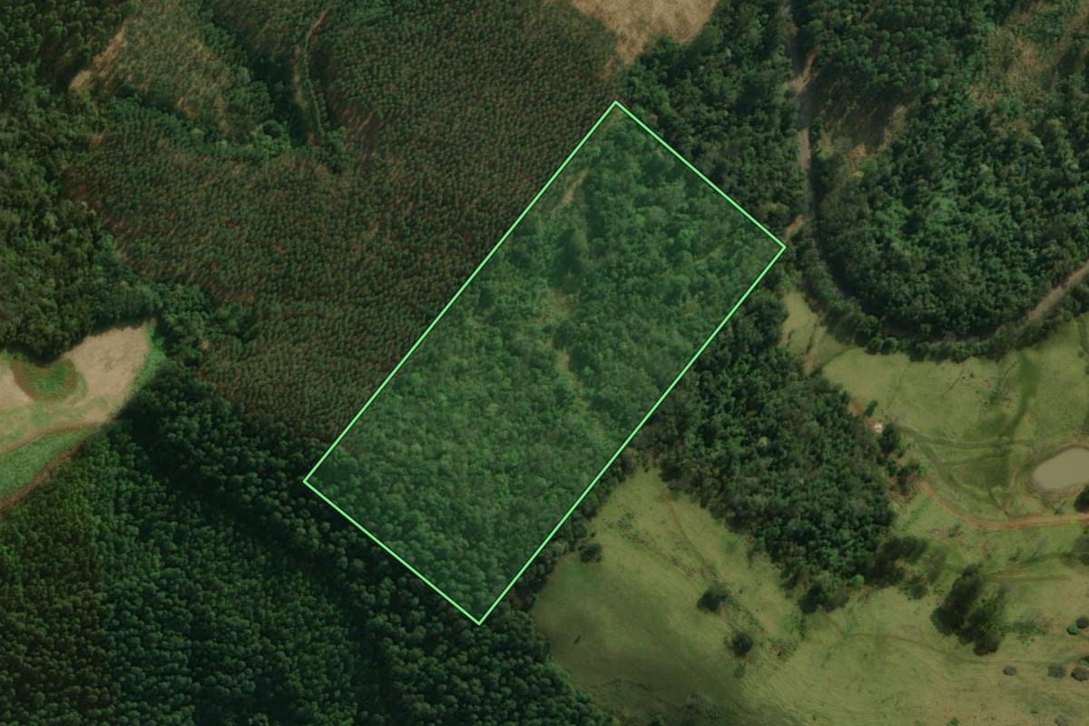 Imagem de satélite do imóvel rural em Guaraciaba (SC), com o contorno declarado no CAR desenhado por cima.