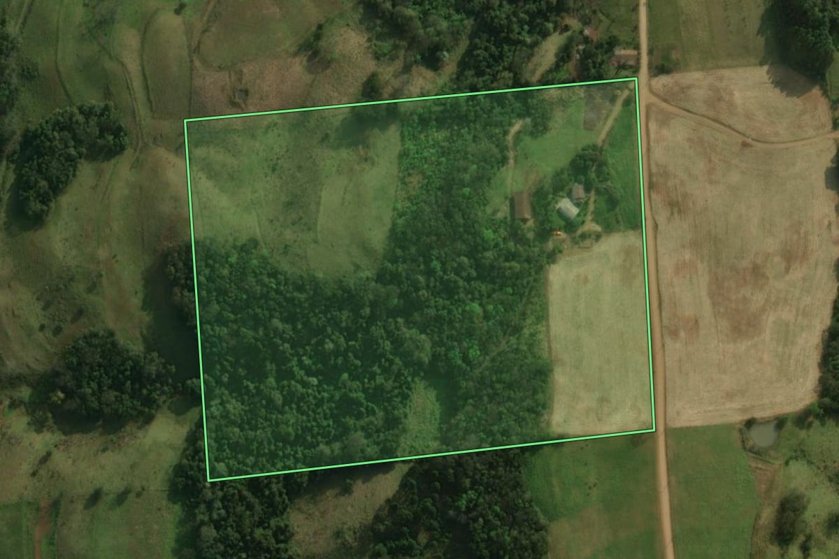 Imagem de satélite do imóvel rural em Guaraciaba (SC), com o contorno declarado no CAR desenhado por cima.