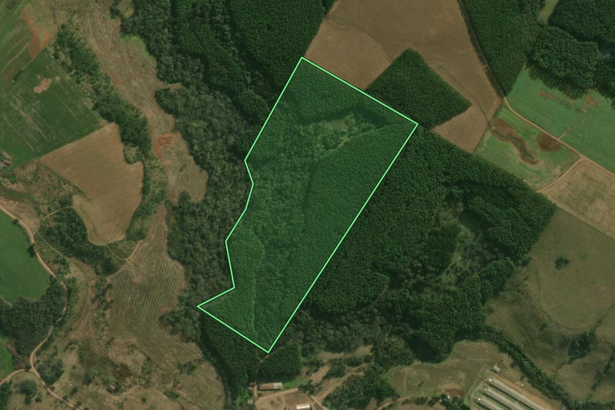 Imagem de satélite do imóvel rural em Guaraciaba (SC), com o contorno declarado no CAR desenhado por cima.