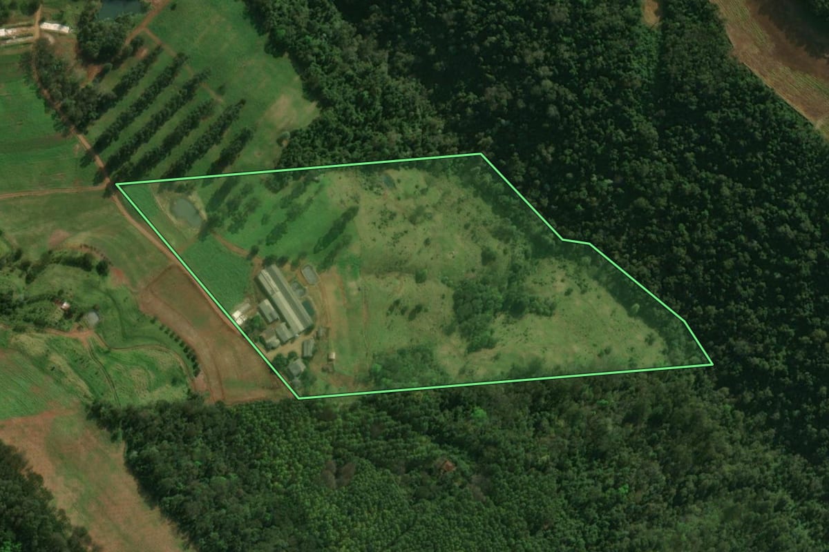 Imagem de satélite do imóvel rural em Guaraciaba (SC), com o contorno declarado no CAR desenhado por cima.