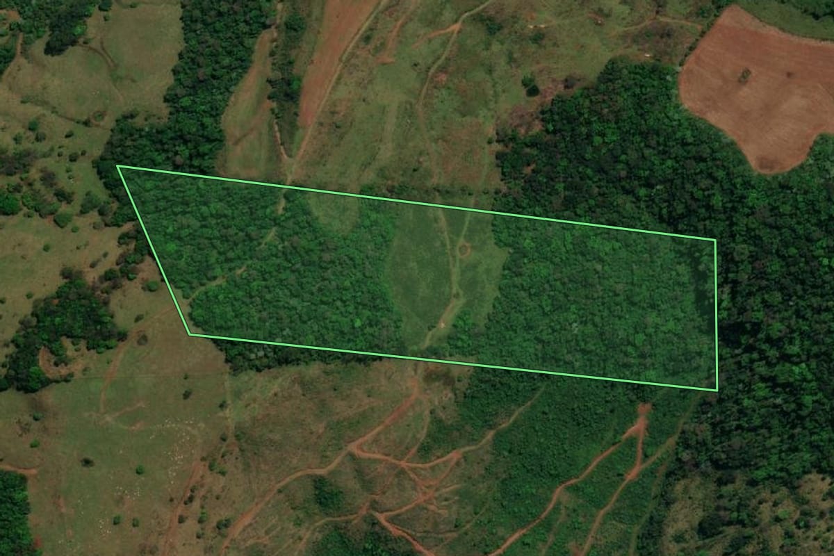 Imagem de satélite do imóvel rural em Guaraciaba (SC), com o contorno declarado no CAR desenhado por cima.