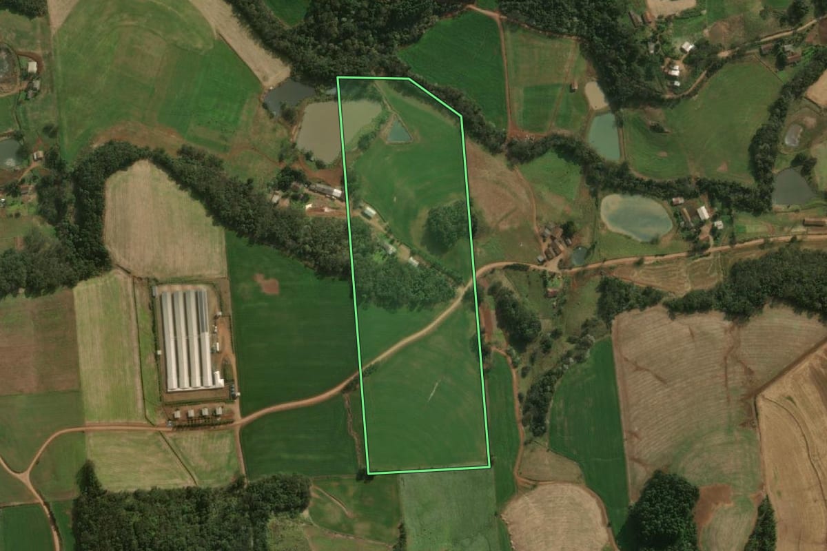 Imagem de satélite do imóvel rural em Guaraciaba (SC), com o contorno declarado no CAR desenhado por cima.