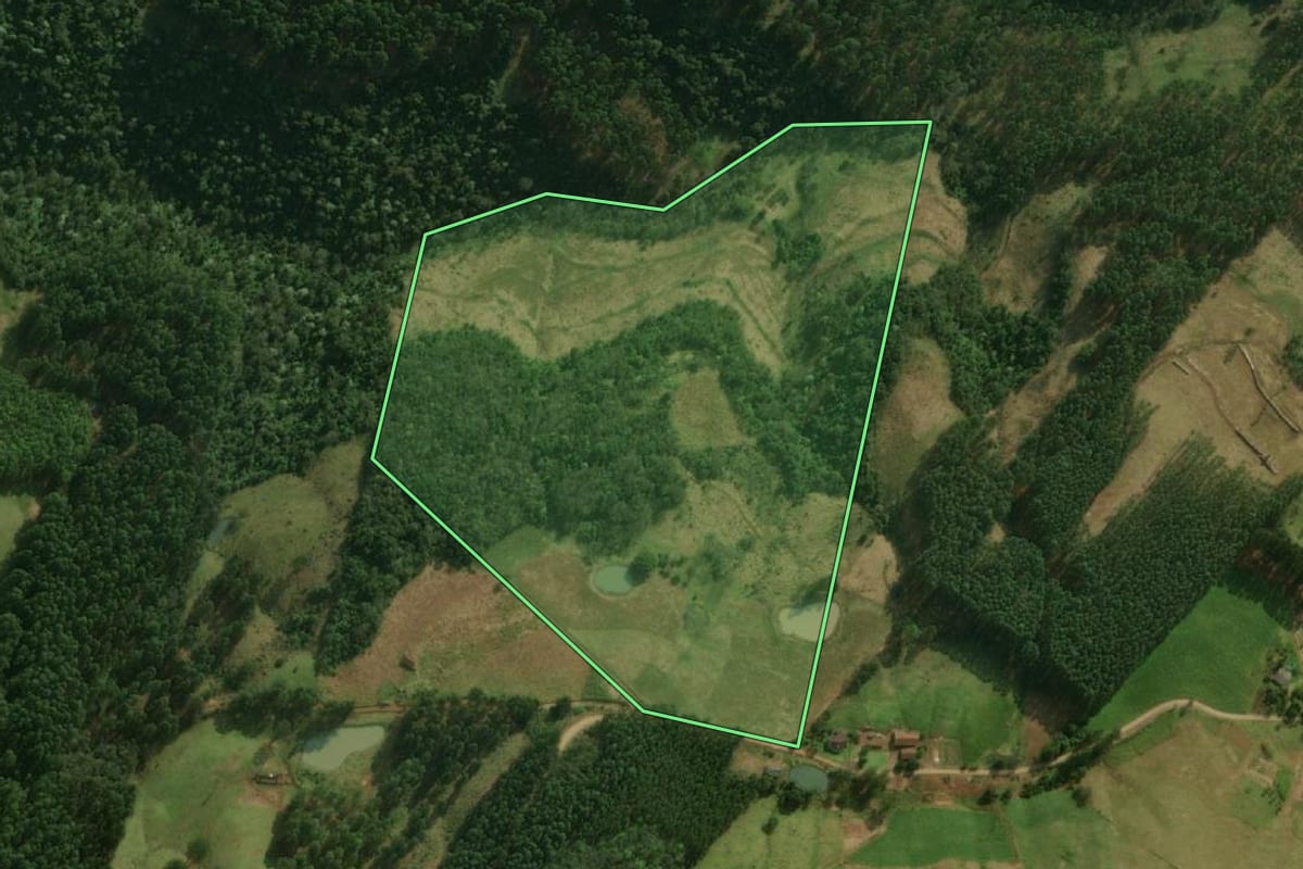 Imagem de satélite do imóvel rural em Guaraciaba (SC), com o contorno declarado no CAR desenhado por cima.