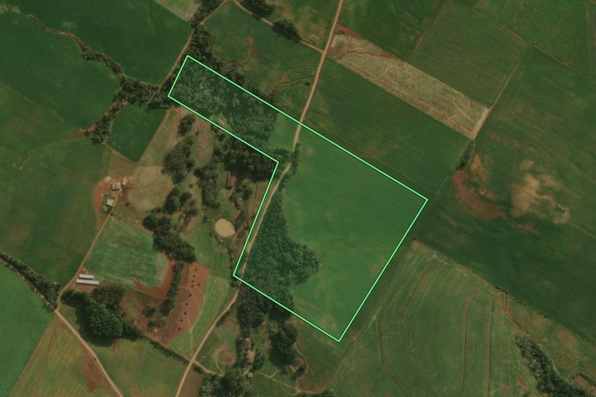 Imagem de satélite do imóvel rural em Guaraciaba (SC), com o contorno declarado no CAR desenhado por cima.