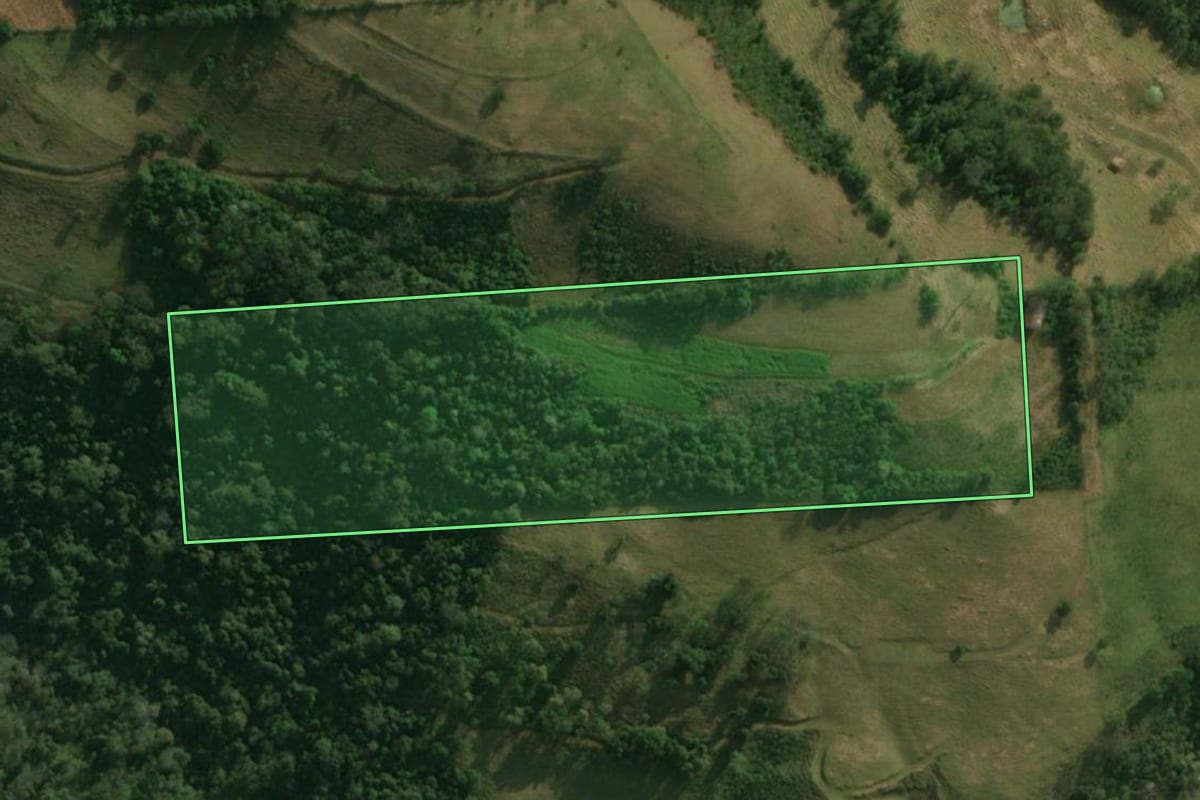 Imagem de satélite do imóvel rural em Guaraciaba (SC), com o contorno declarado no CAR desenhado por cima.