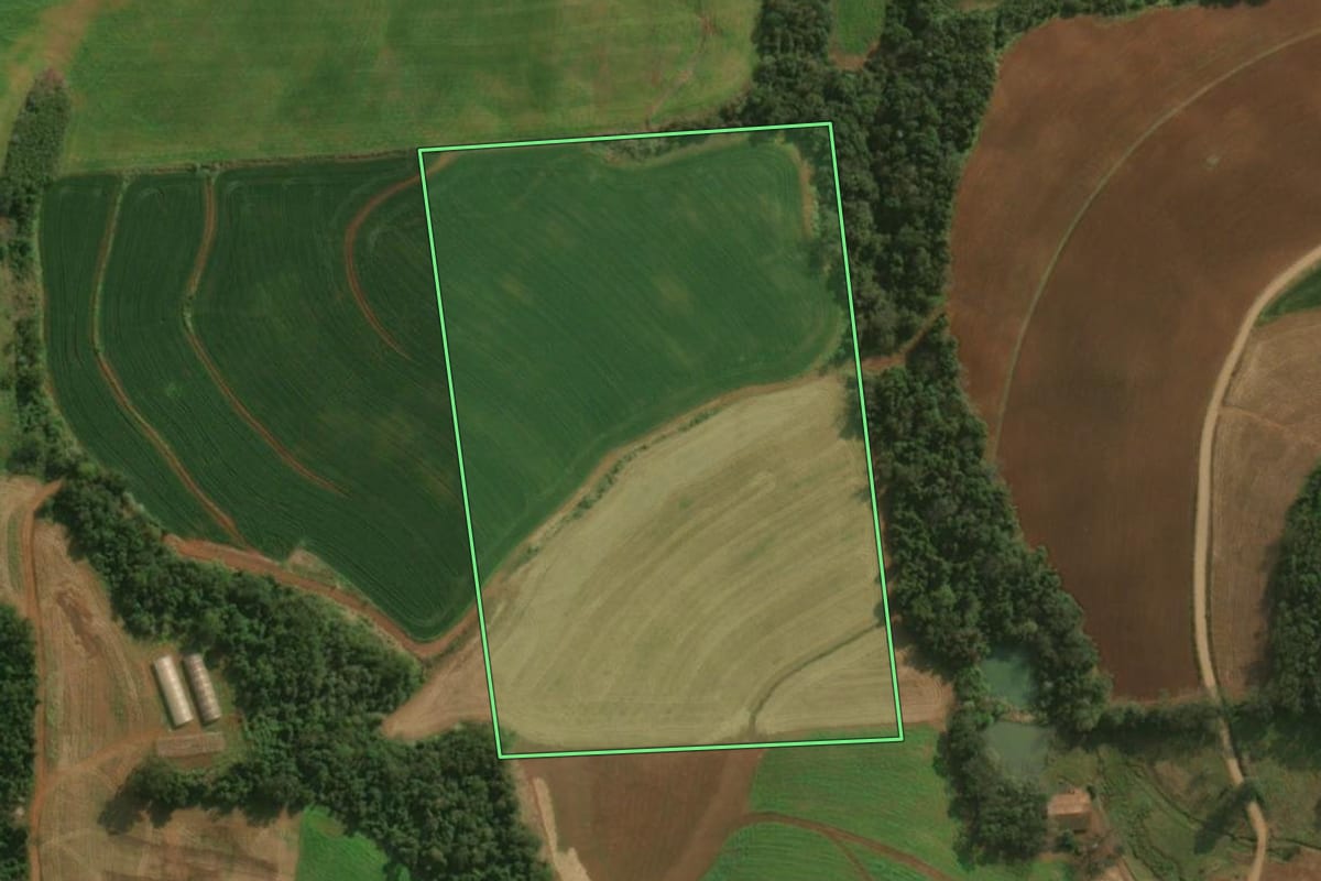 Imagem de satélite do imóvel rural em Guaraciaba (SC), com o contorno declarado no CAR desenhado por cima.