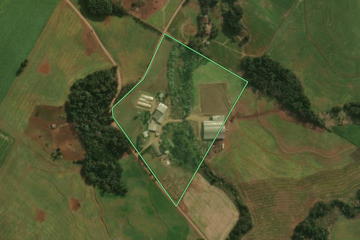 Imagem de satélite do imóvel rural em Guaraciaba (SC), com o contorno declarado no CAR desenhado por cima.