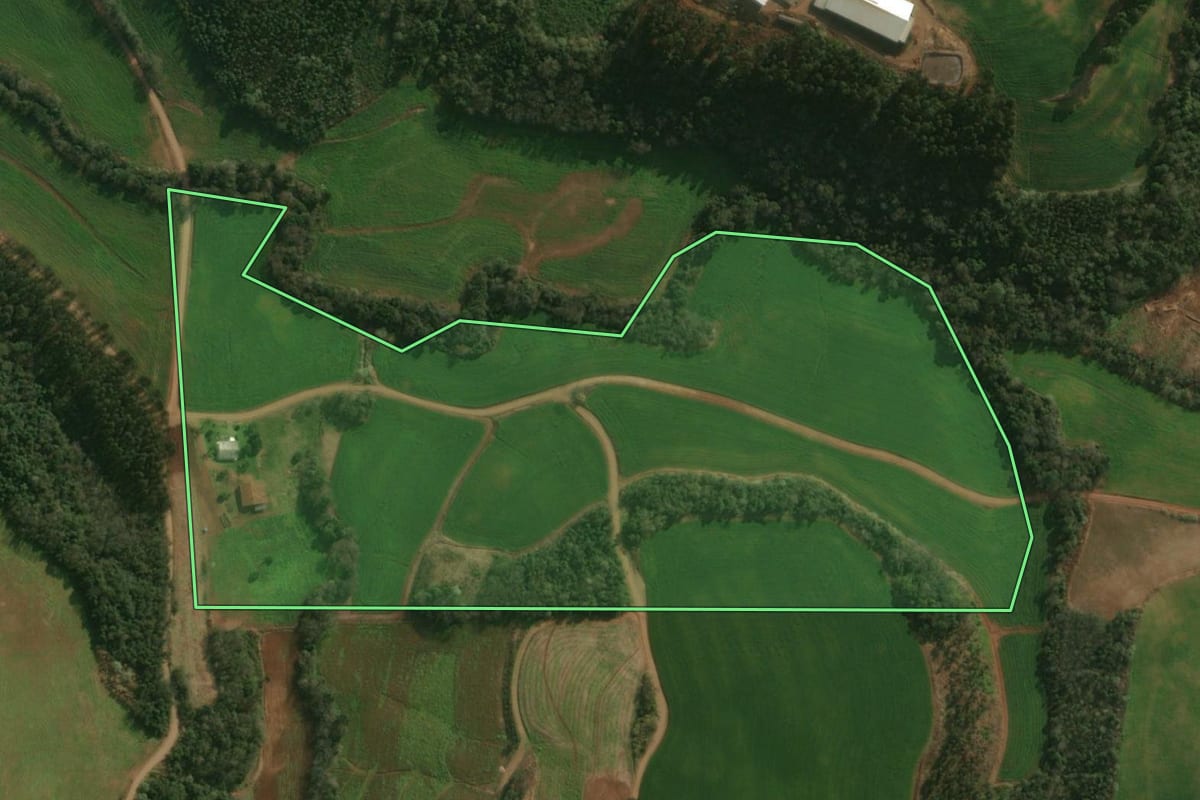 Imagem de satélite do imóvel rural em Guaraciaba (SC), com o contorno declarado no CAR desenhado por cima.