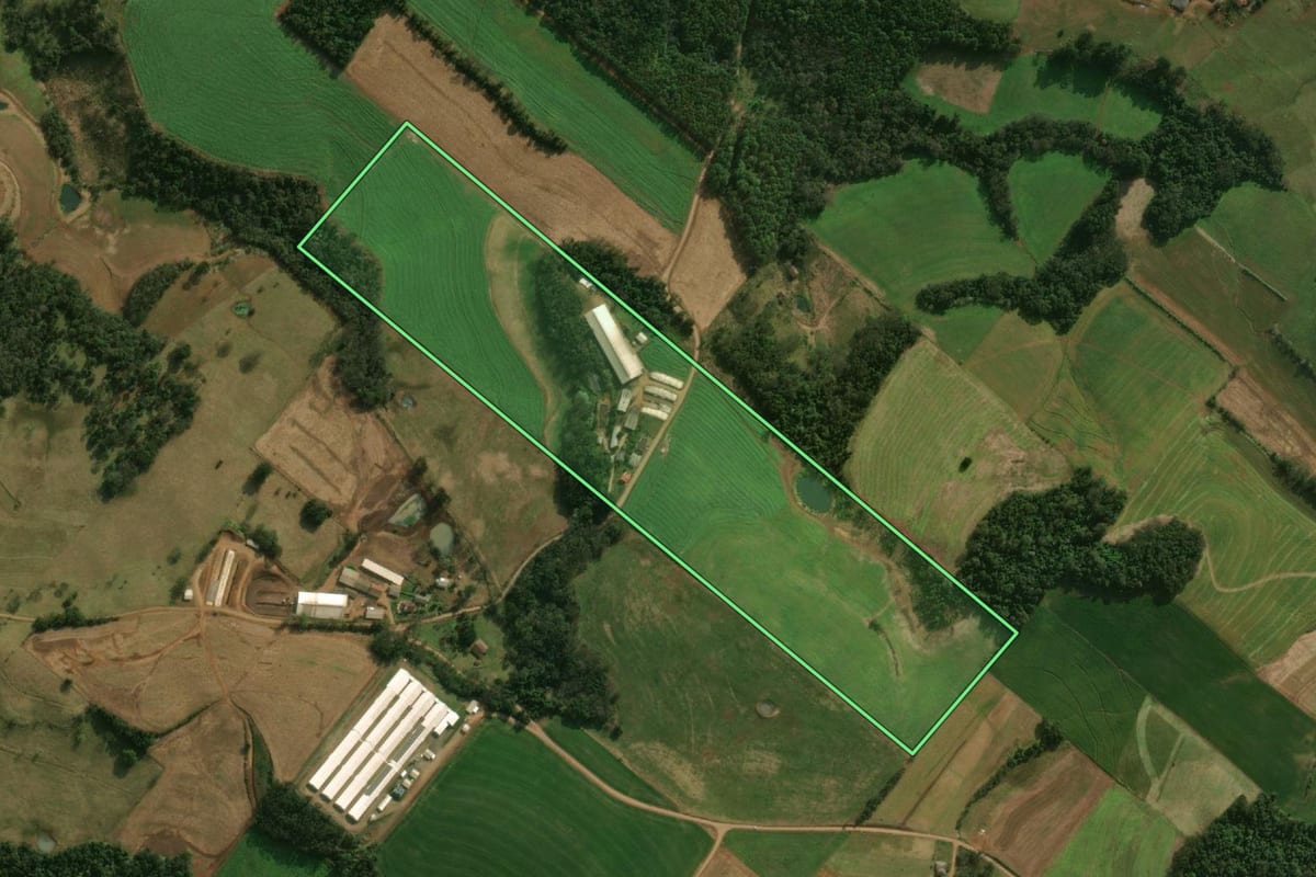 Imagem de satélite do imóvel rural em Guaraciaba (SC), com o contorno declarado no CAR desenhado por cima.
