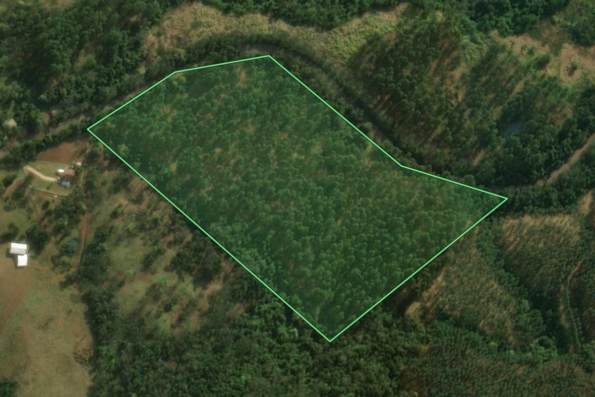 Imagem de satélite do imóvel rural em Guaraciaba (SC), com o contorno declarado no CAR desenhado por cima.