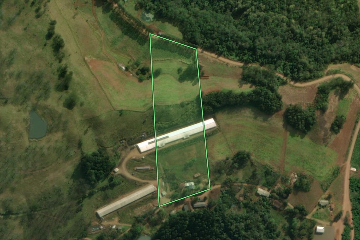 Imagem de satélite do imóvel rural em Guaraciaba (SC), com o contorno declarado no CAR desenhado por cima.