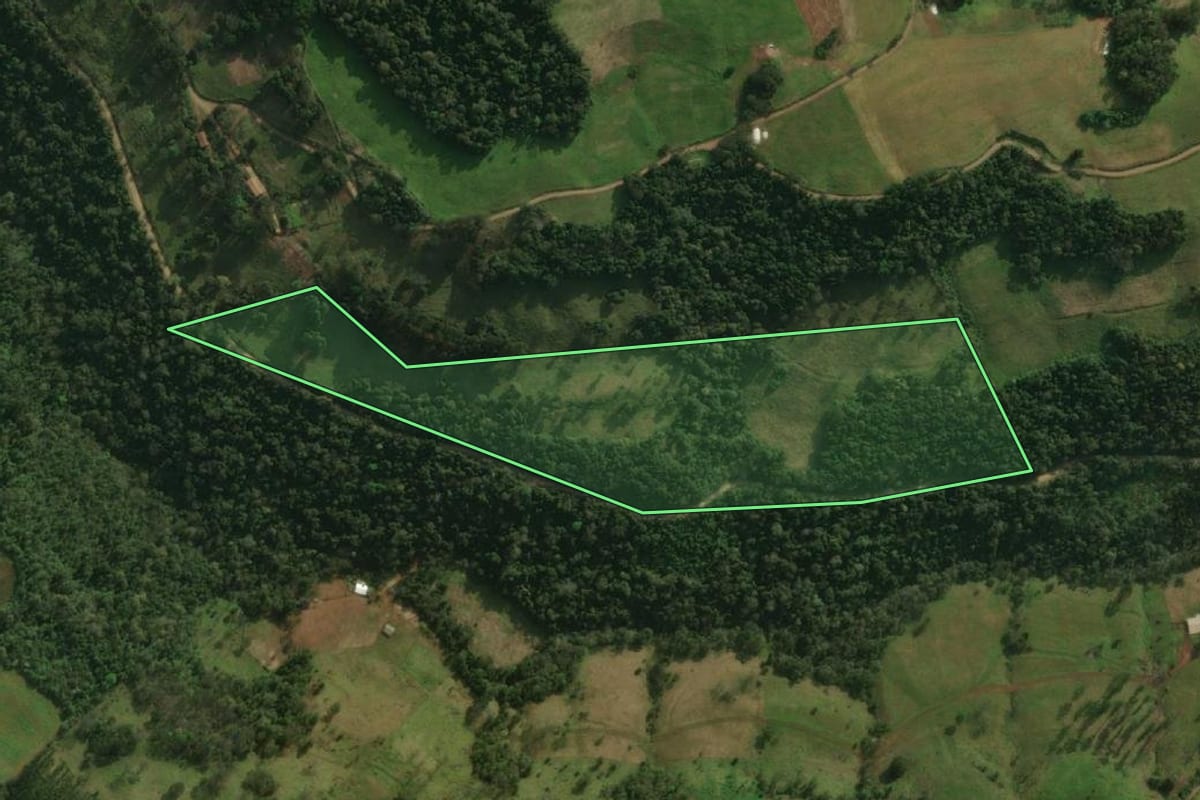 Imagem de satélite do imóvel rural em Guaraciaba (SC), com o contorno declarado no CAR desenhado por cima.