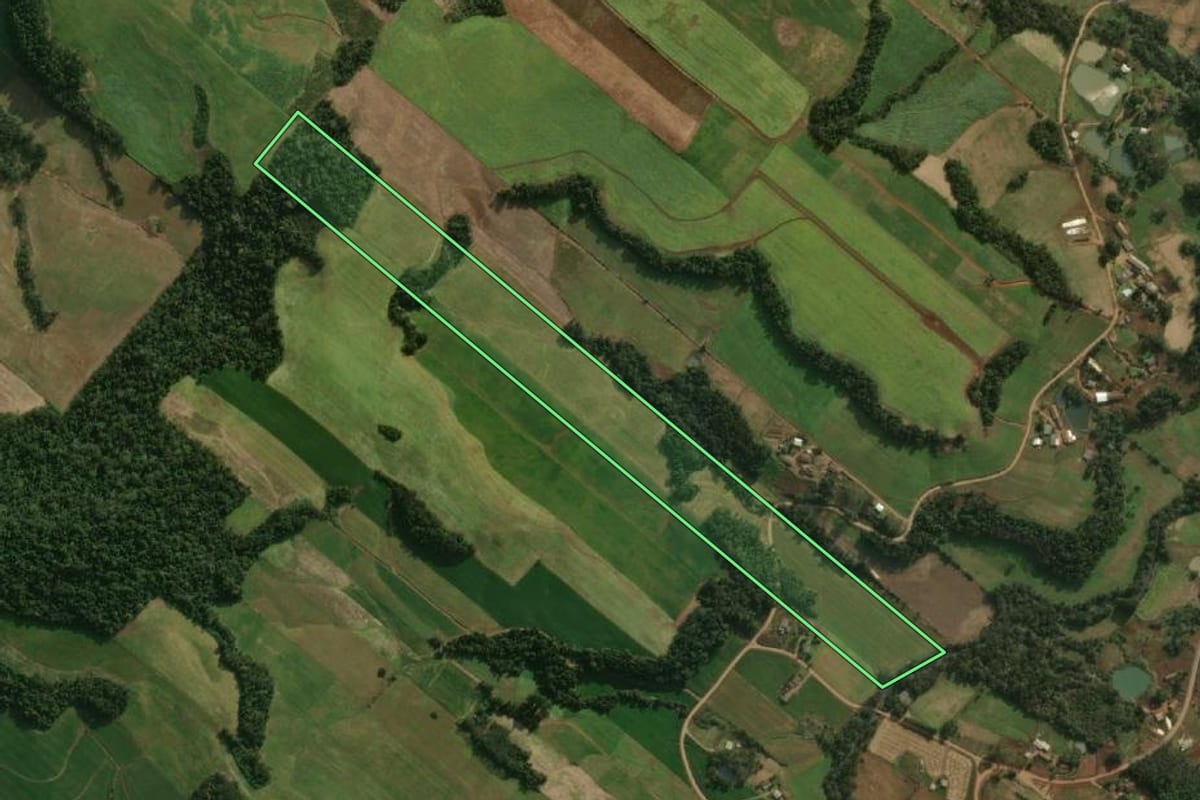 Imagem de satélite do imóvel rural em Guaraciaba (SC), com o contorno declarado no CAR desenhado por cima.