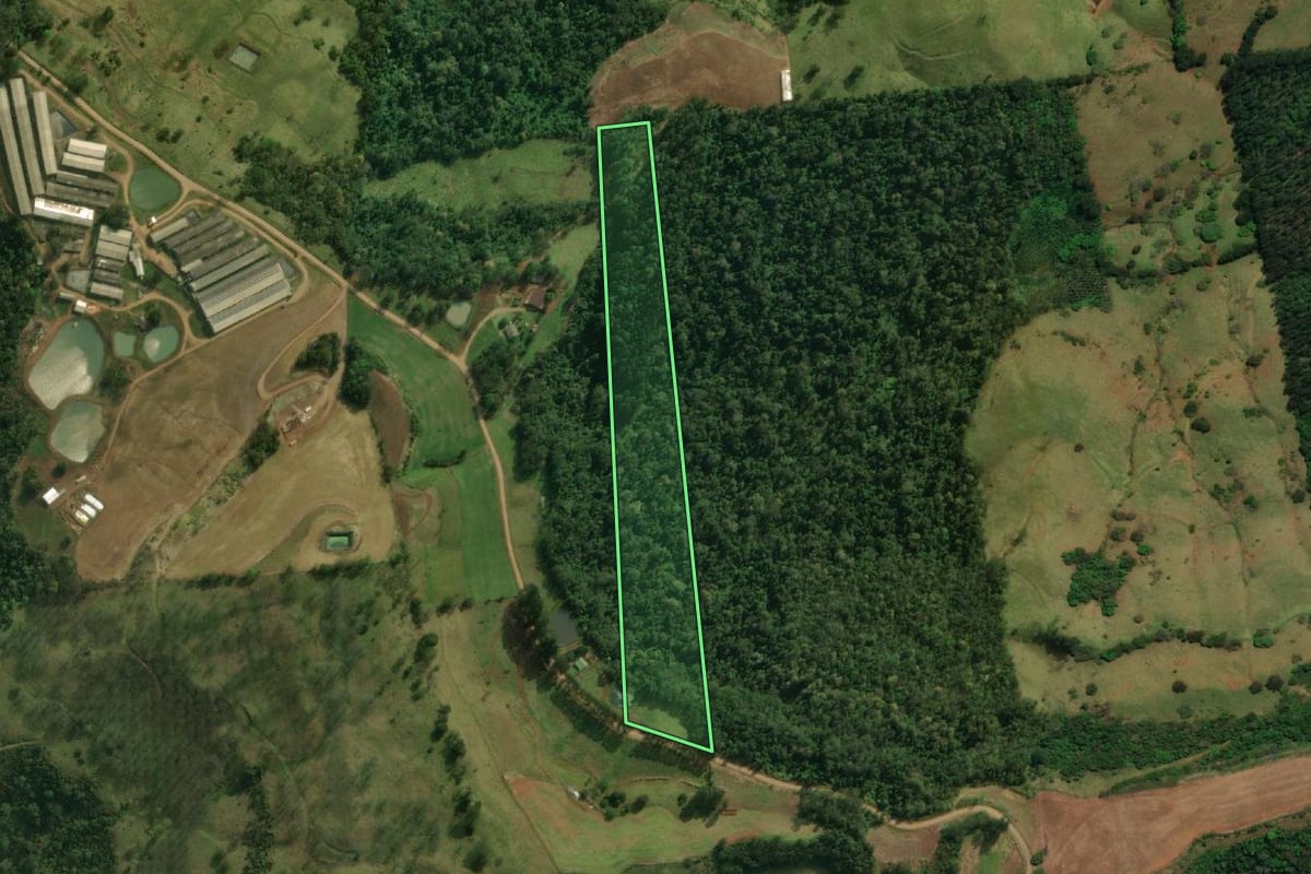 Imagem de satélite do imóvel rural em Guaraciaba (SC), com o contorno declarado no CAR desenhado por cima.