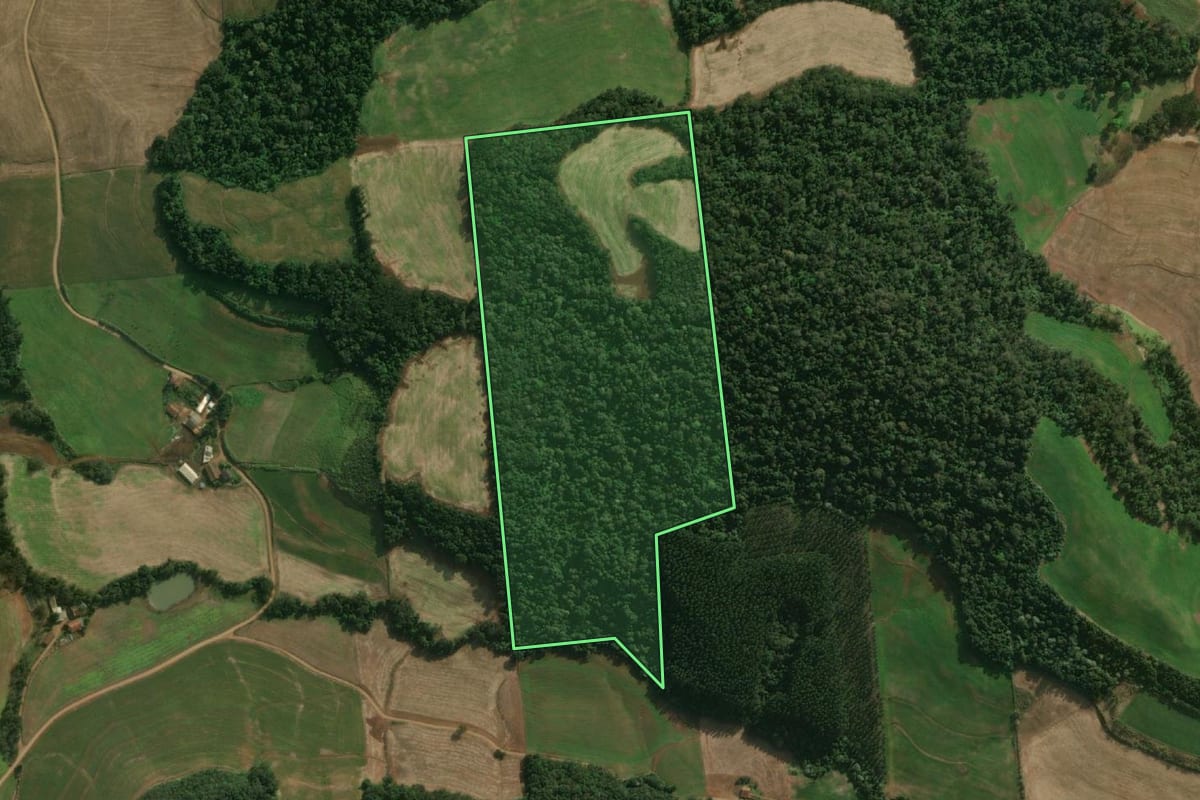 Imagem de satélite do imóvel rural em Guaraciaba (SC), com o contorno declarado no CAR desenhado por cima.