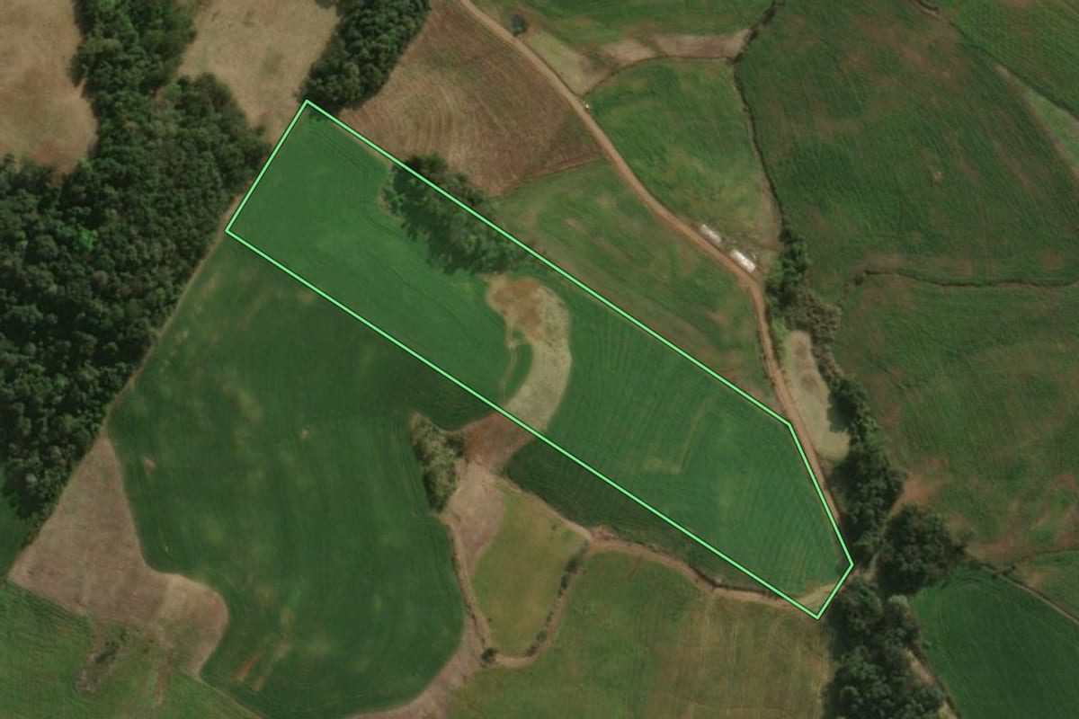Imagem de satélite do imóvel rural em Guaraciaba (SC), com o contorno declarado no CAR desenhado por cima.