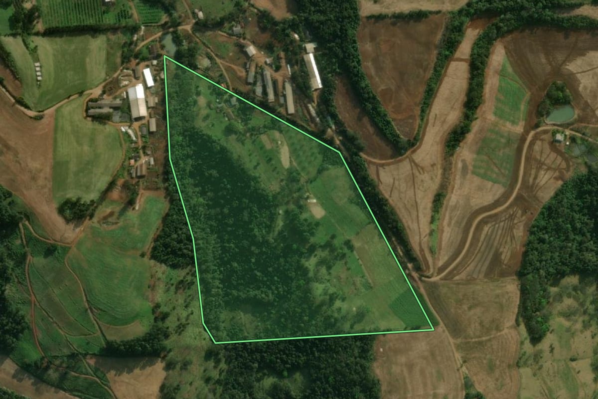 Imagem de satélite do imóvel rural em Guaraciaba (SC), com o contorno declarado no CAR desenhado por cima.