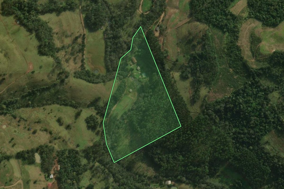 Imagem de satélite do imóvel rural em Guaraciaba (SC), com o contorno declarado no CAR desenhado por cima.