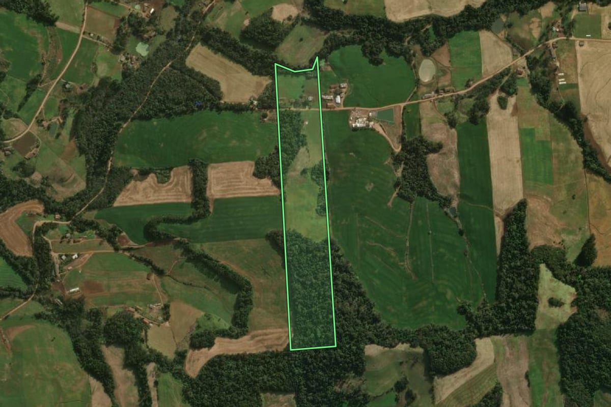 Imagem de satélite do imóvel rural em Guaraciaba (SC), com o contorno declarado no CAR desenhado por cima.