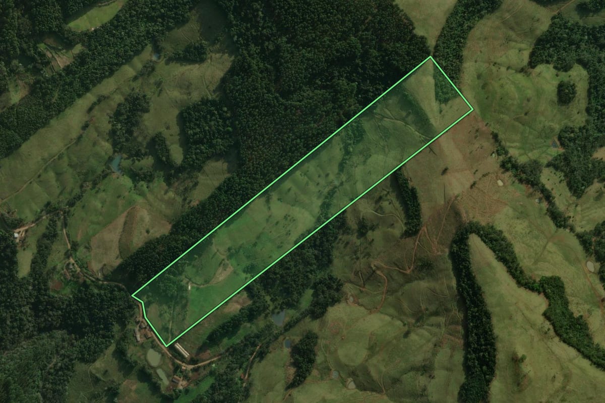 Imagem de satélite do imóvel rural em Guaraciaba (SC), com o contorno declarado no CAR desenhado por cima.