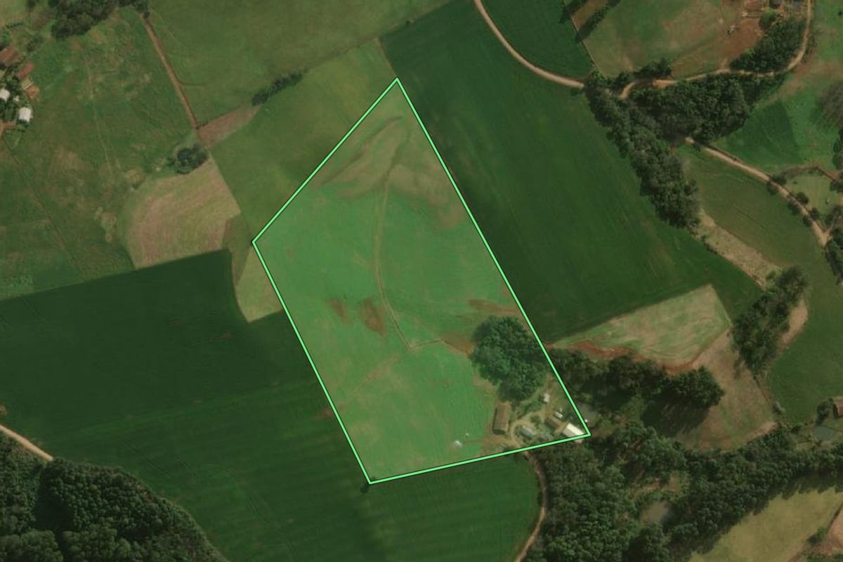 Imagem de satélite do imóvel rural em Guaraciaba (SC), com o contorno declarado no CAR desenhado por cima.