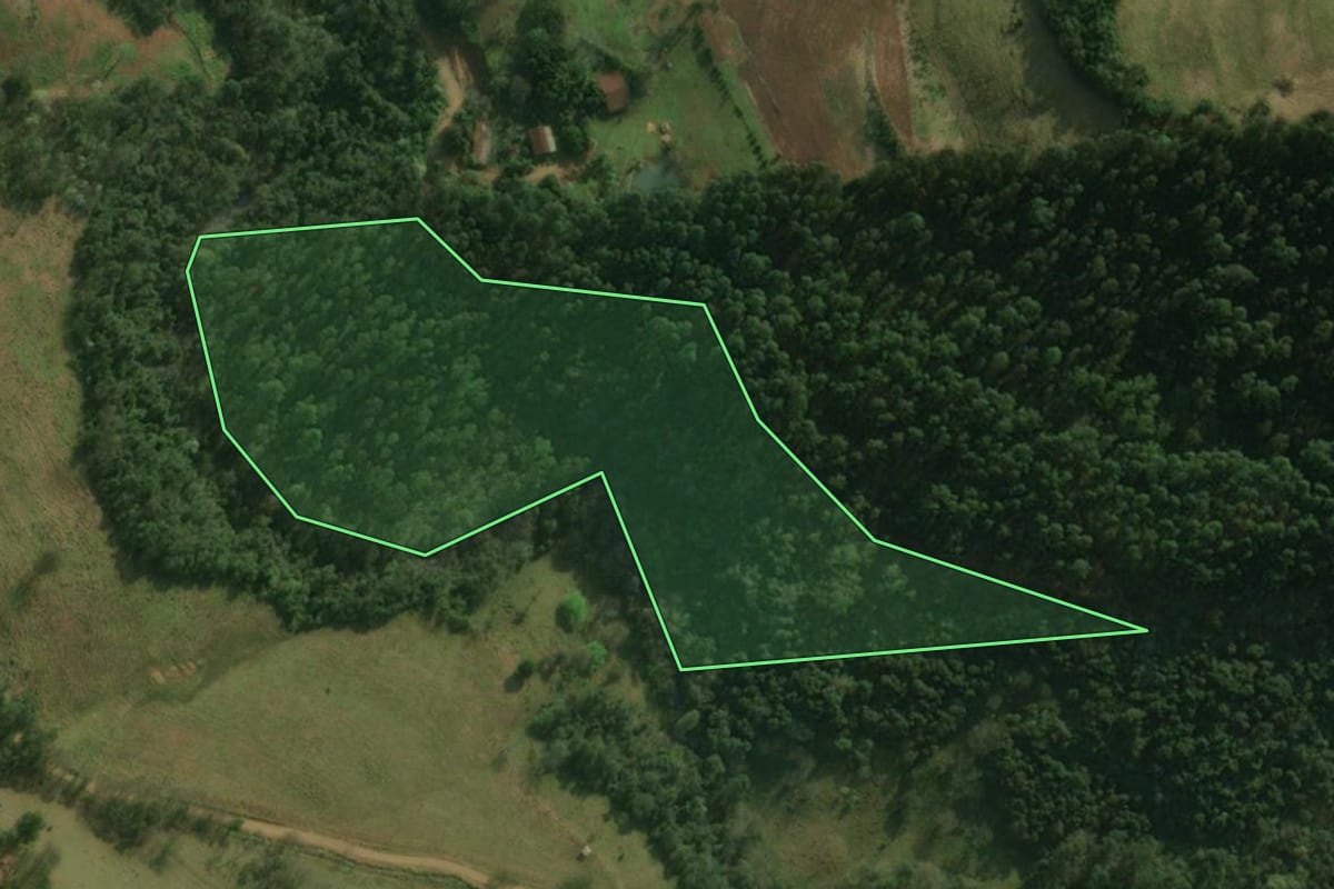 Imagem de satélite do imóvel rural em Guaraciaba (SC), com o contorno declarado no CAR desenhado por cima.