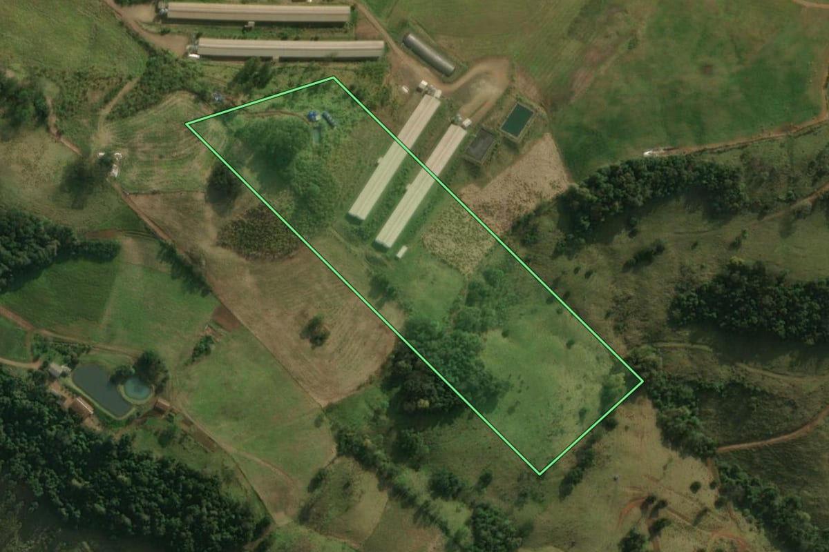 Imagem de satélite do imóvel rural em Guaraciaba (SC), com o contorno declarado no CAR desenhado por cima.