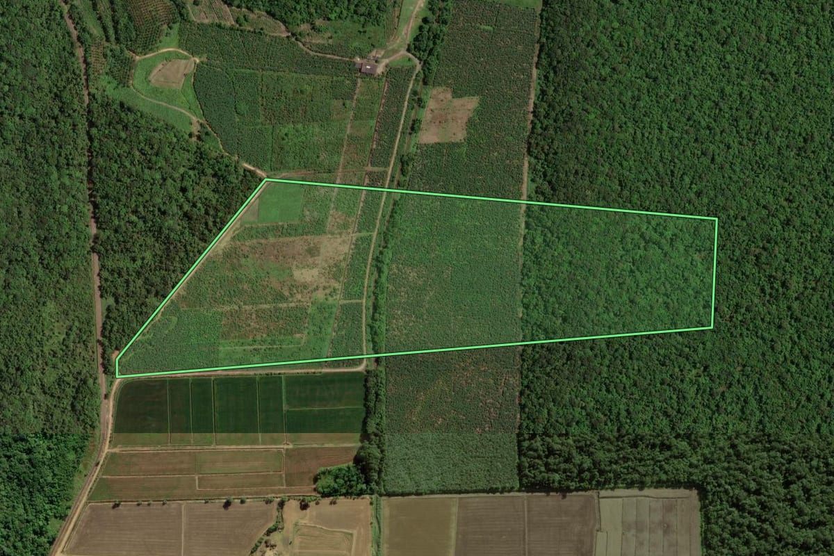 Imagem de satélite do imóvel rural em Guaramirim (SC), com o contorno declarado no CAR desenhado por cima.