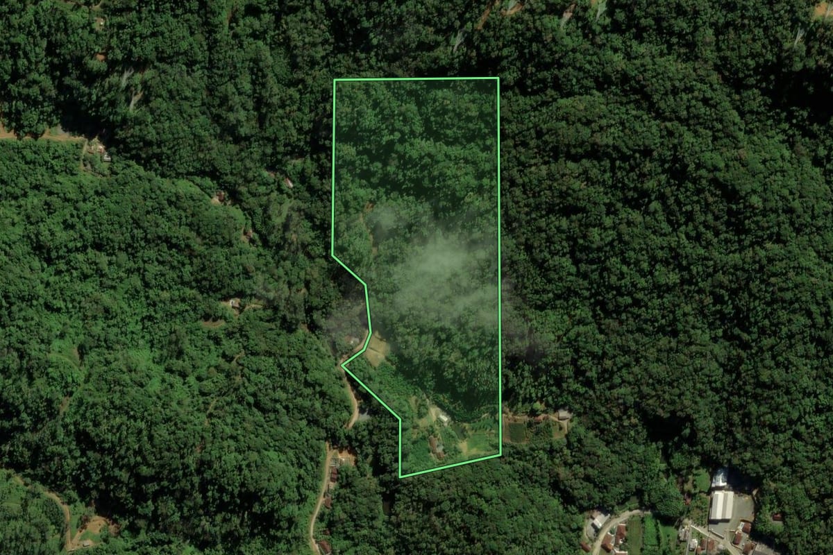 Imagem de satélite do imóvel rural em Guaramirim (SC), com o contorno declarado no CAR desenhado por cima.