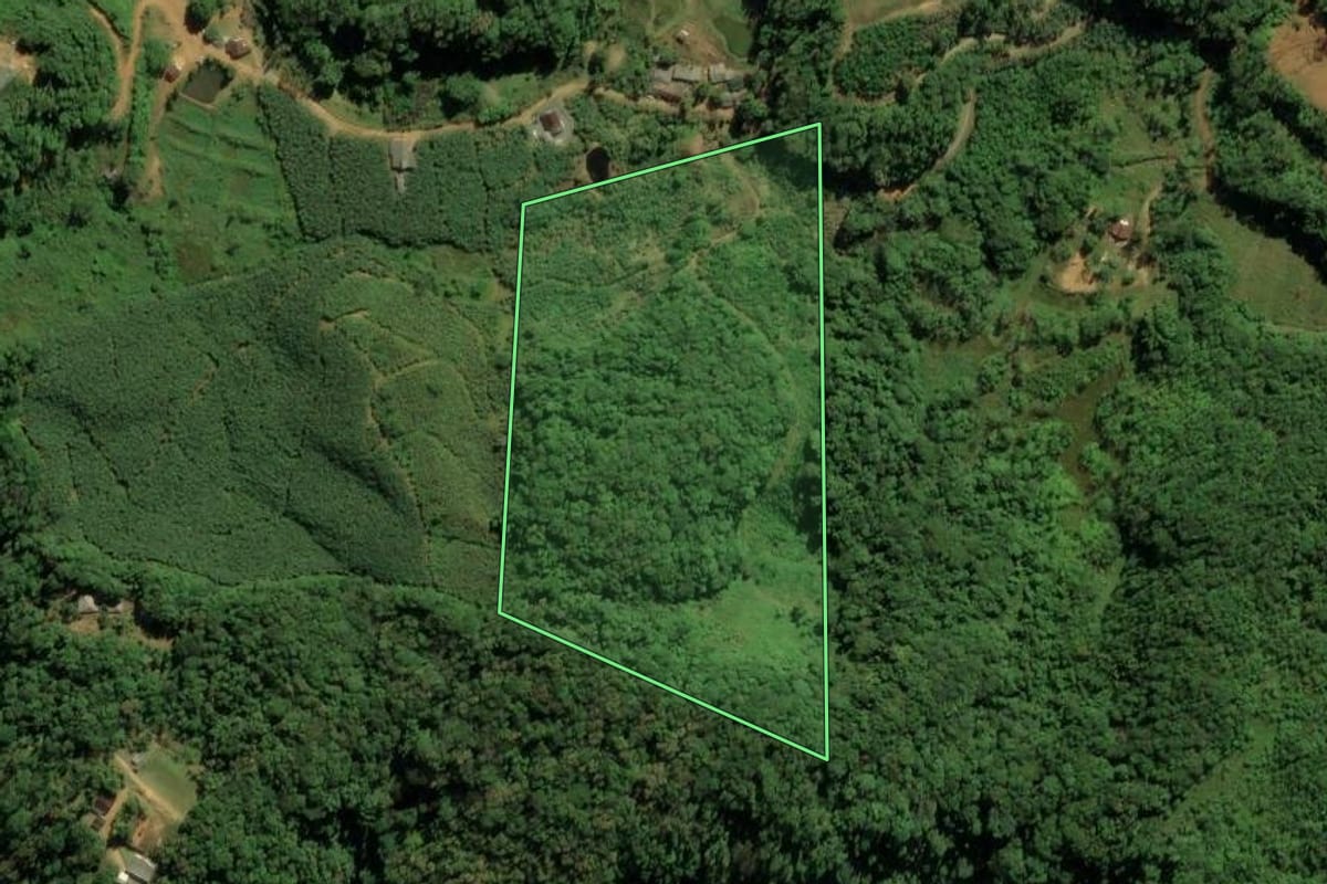 Imagem de satélite do imóvel rural em Guaramirim (SC), com o contorno declarado no CAR desenhado por cima.