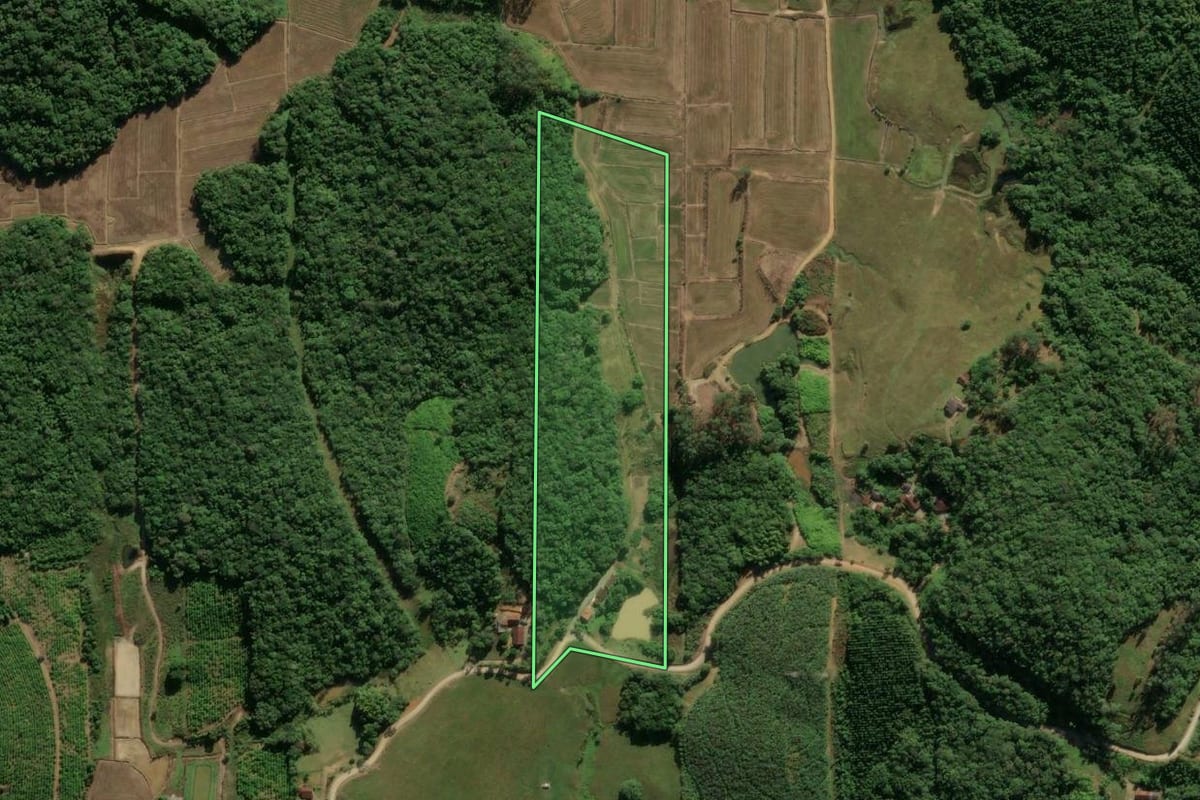 Imagem de satélite do imóvel rural em Guaramirim (SC), com o contorno declarado no CAR desenhado por cima.