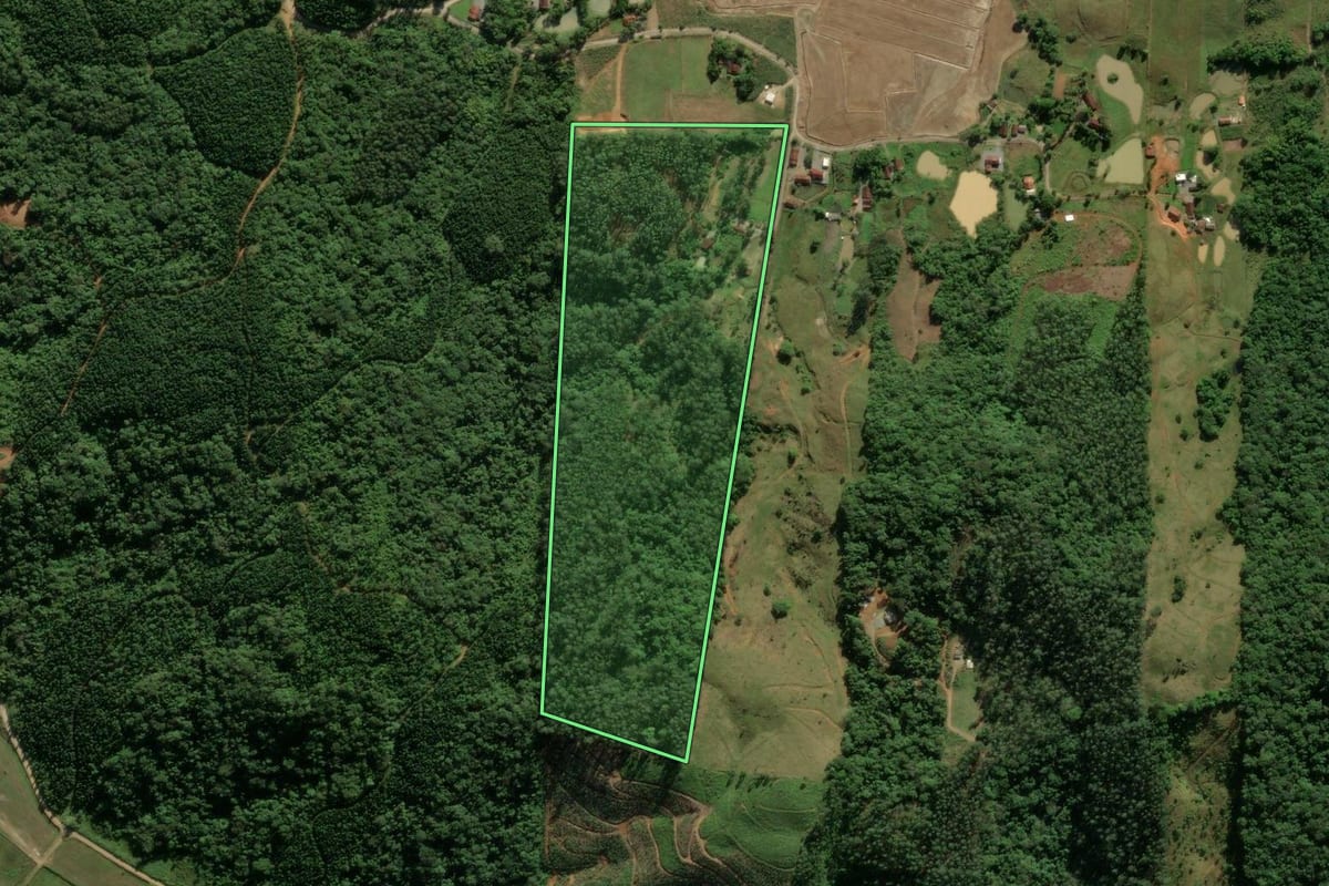 Imagem de satélite do imóvel rural em Guaramirim (SC), com o contorno declarado no CAR desenhado por cima.