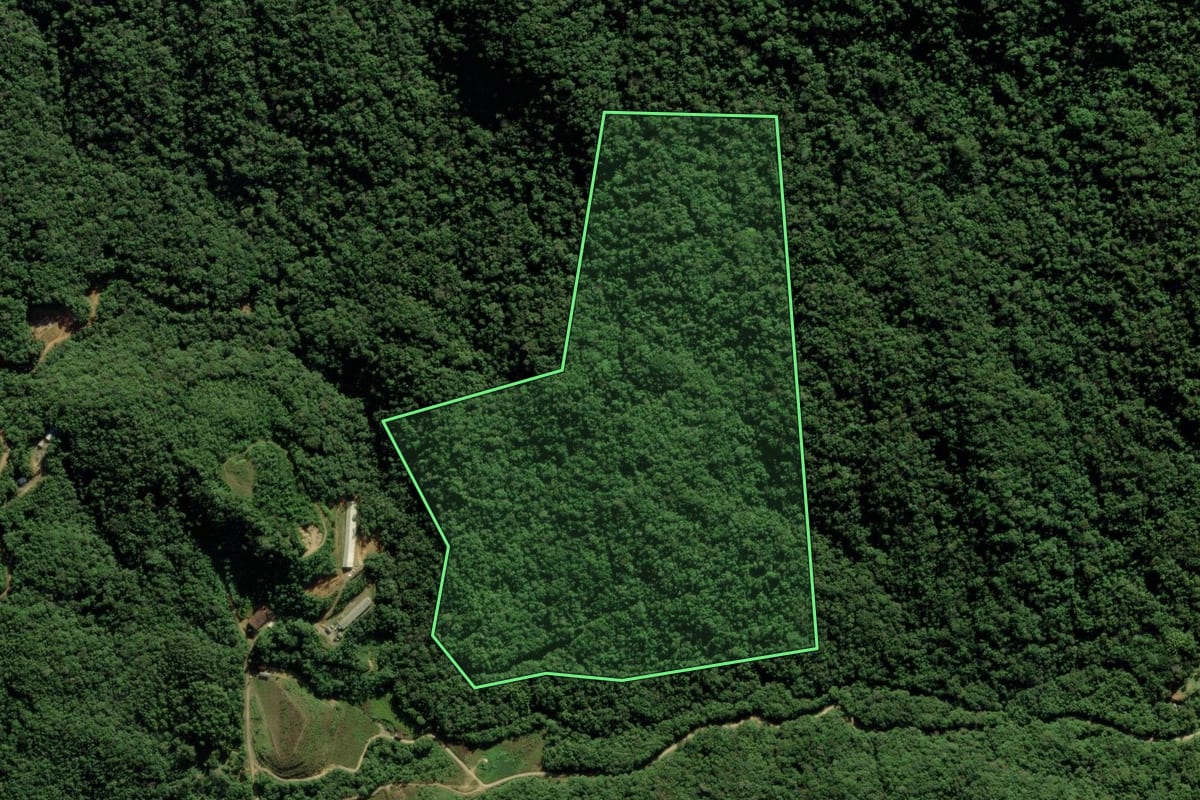 Imagem de satélite do imóvel rural em Guaramirim (SC), com o contorno declarado no CAR desenhado por cima.