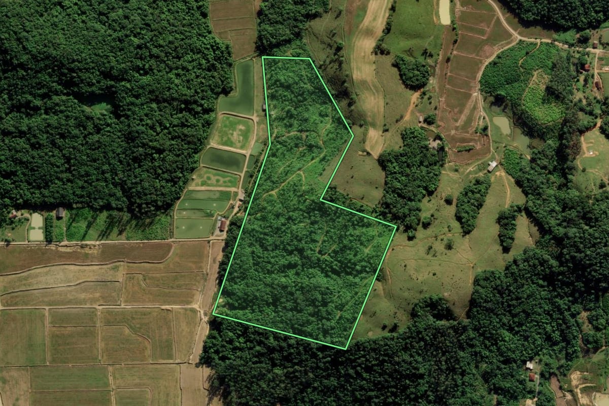 Imagem de satélite do imóvel rural em Guaramirim (SC), com o contorno declarado no CAR desenhado por cima.