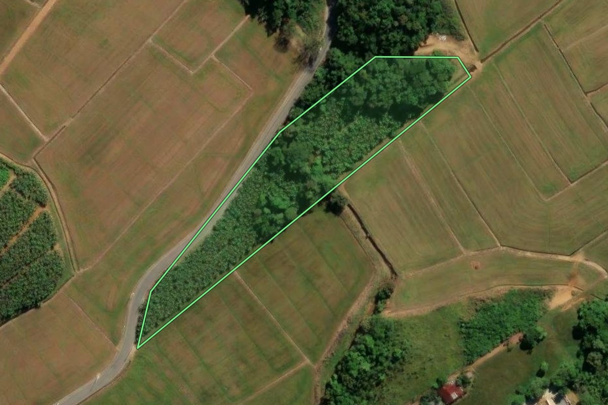 Imagem de satélite do imóvel rural em Guaramirim (SC), com o contorno declarado no CAR desenhado por cima.