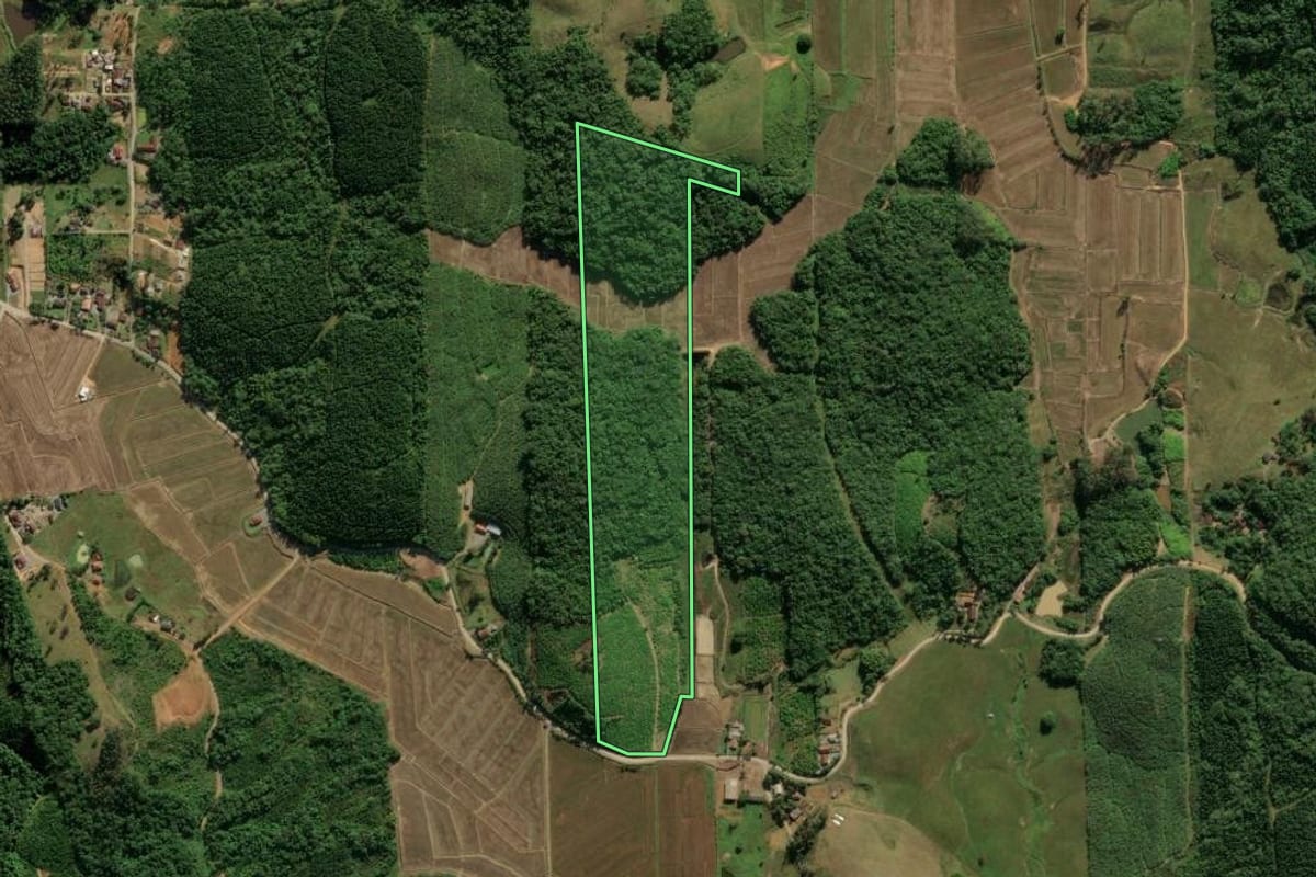 Imagem de satélite do imóvel rural em Guaramirim (SC), com o contorno declarado no CAR desenhado por cima.