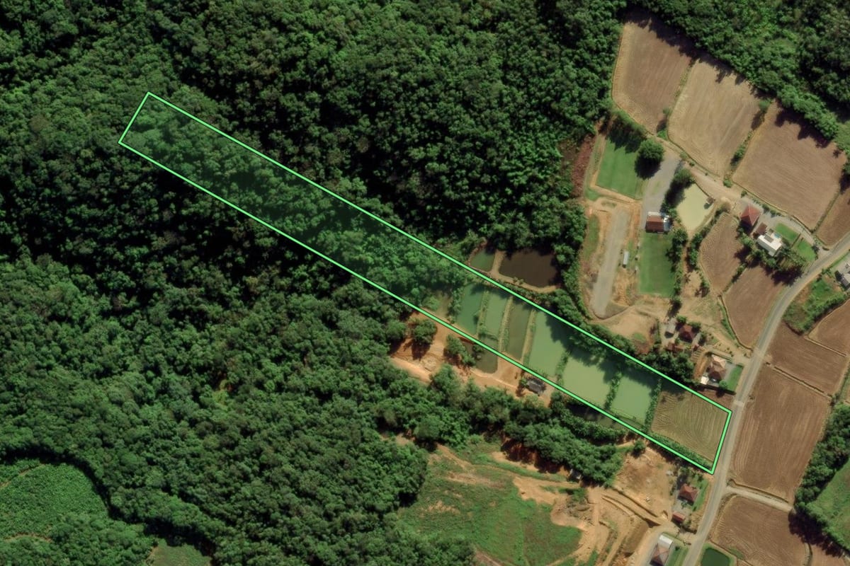 Imagem de satélite do imóvel rural em Guaramirim (SC), com o contorno declarado no CAR desenhado por cima.