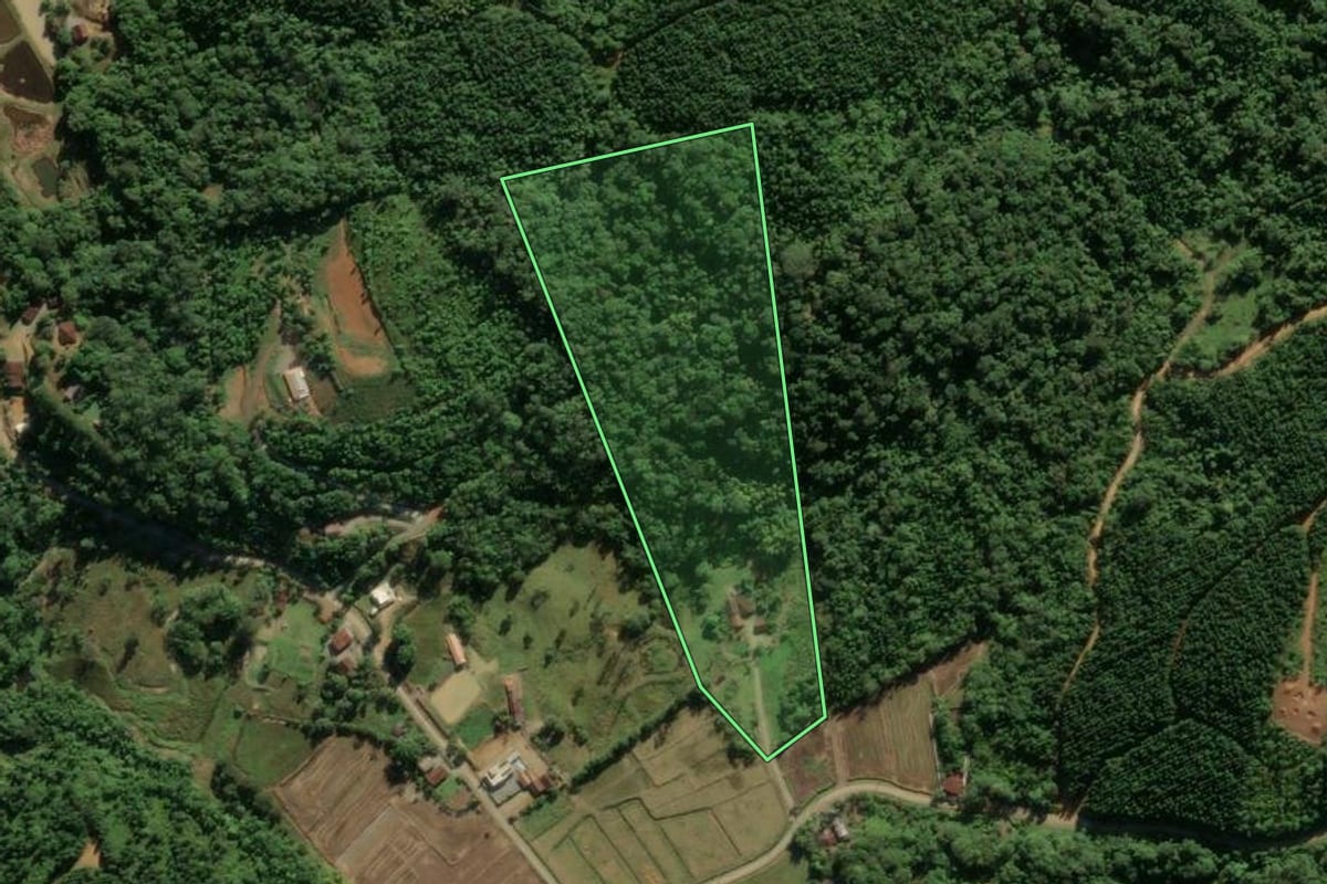 Imagem de satélite do imóvel rural em Guaramirim (SC), com o contorno declarado no CAR desenhado por cima.