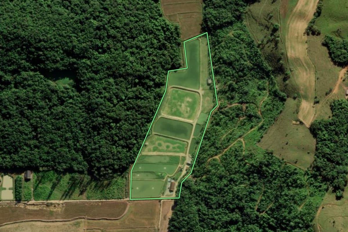 Imagem de satélite do imóvel rural em Guaramirim (SC), com o contorno declarado no CAR desenhado por cima.