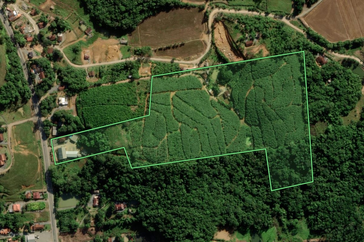 Imagem de satélite do imóvel rural em Guaramirim (SC), com o contorno declarado no CAR desenhado por cima.