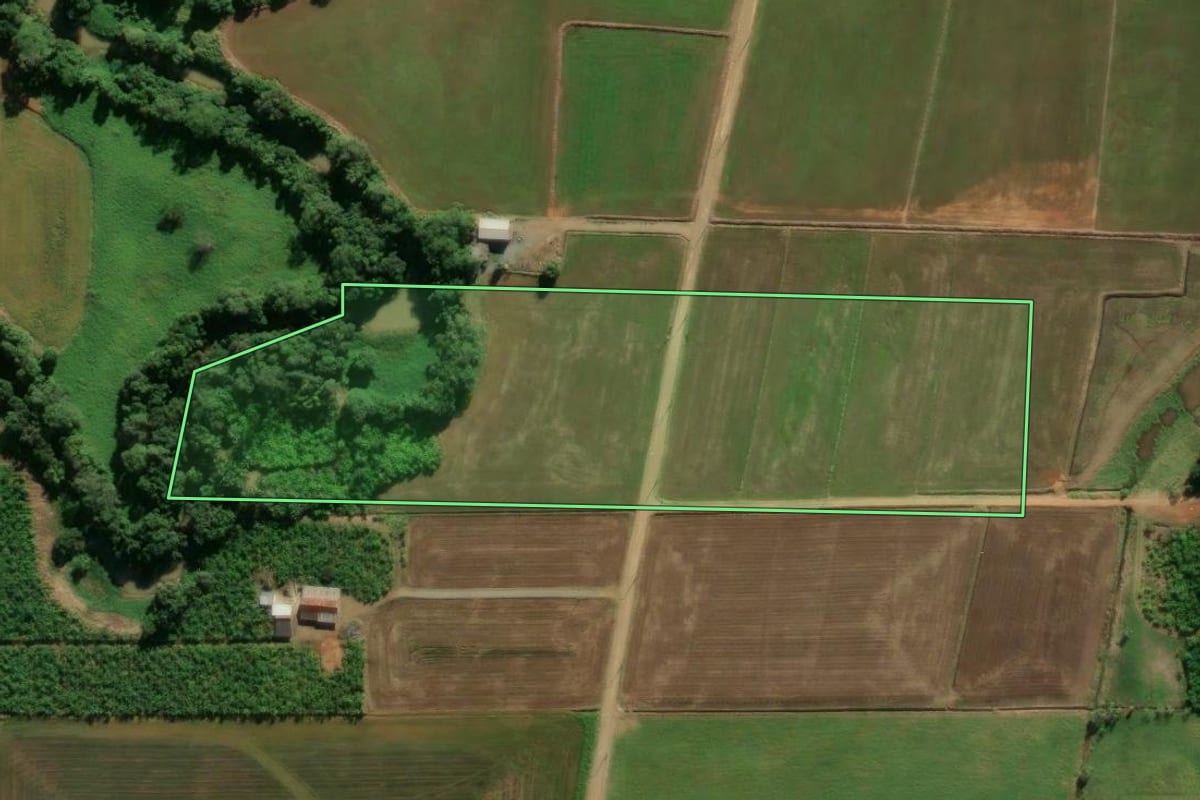 Imagem de satélite do imóvel rural em Guaramirim (SC), com o contorno declarado no CAR desenhado por cima.