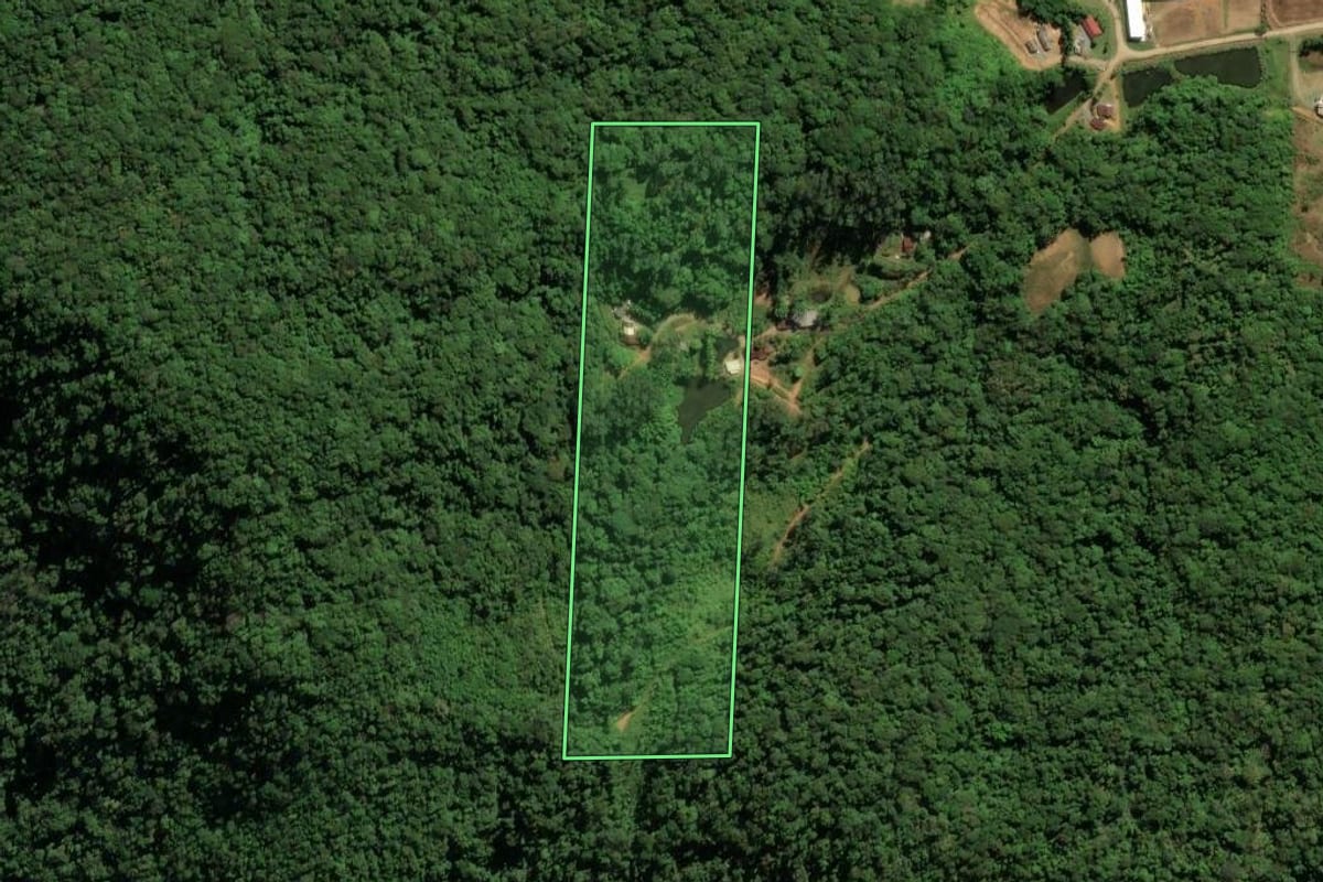 Imagem de satélite do imóvel rural em Guaramirim (SC), com o contorno declarado no CAR desenhado por cima.